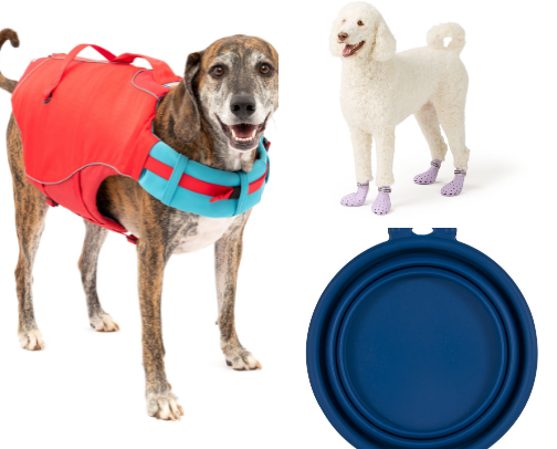 Life outside with your 4- legged friend cover photo collage