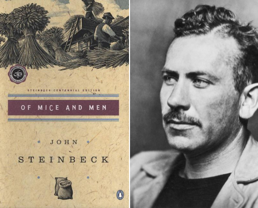 My favorite book recs cover photo collage