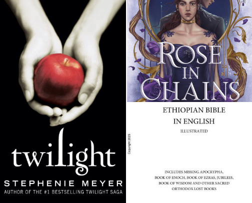 My favorite book recs cover photo collage