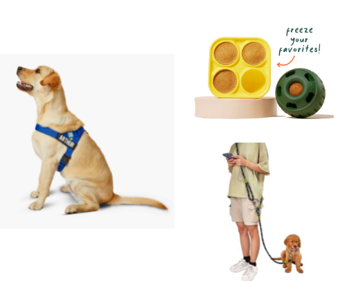 Essentials for Dog Owners cover photo collage