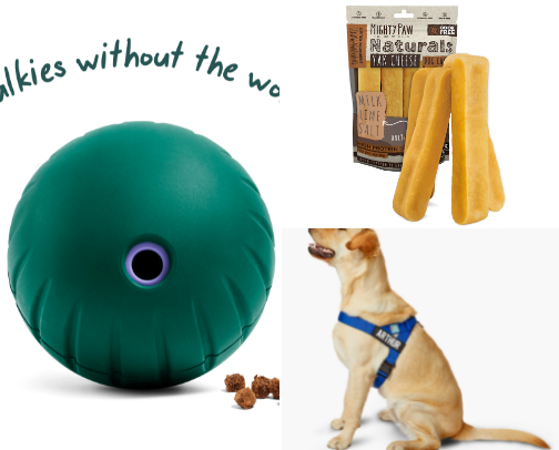 Essentials for Dog Owners cover photo collage
