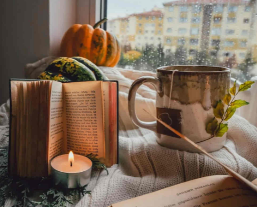 Cozy Season bookshelf reccomendations🍁 cover photo collage