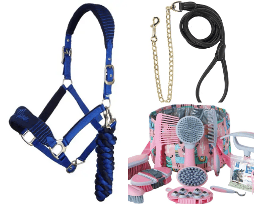Equestrian starter pack😁 cover photo collage