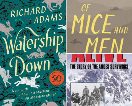 Books that I recommend on repeat cover photo collage