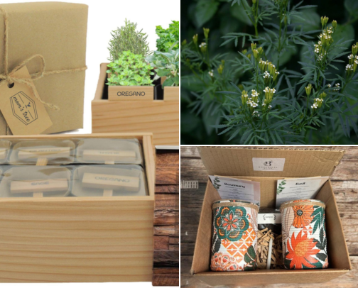 Handmade Gardening Kits That Rescued My Slow Weekend Mornings cover photo collage