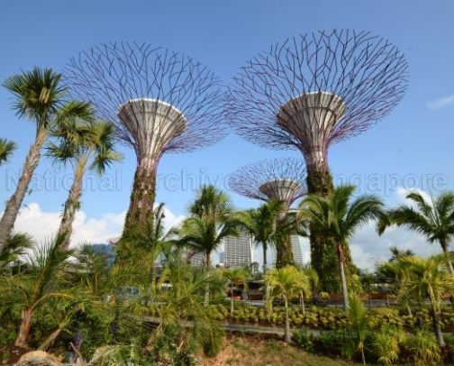 Places in Asia I Would Fly Back to Tomorrow cover photo collage