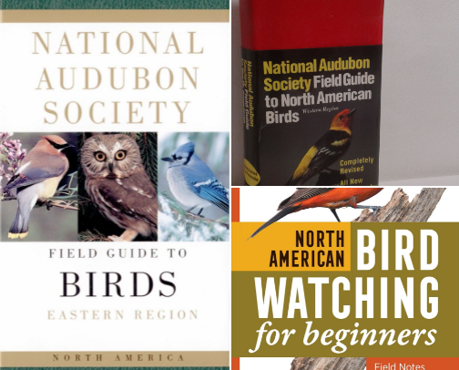 National Audubon Society Field Guide to North American Birds: Eastern Region, Revised Edition essentials cover photo collage