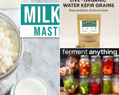 Ferment With Me! cover photo collage