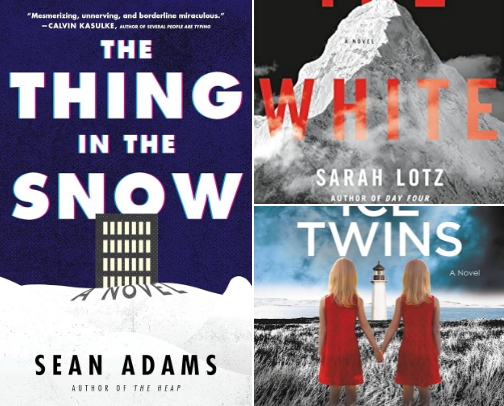 Chilling Books to Read on Dark Winter Nights cover photo collage