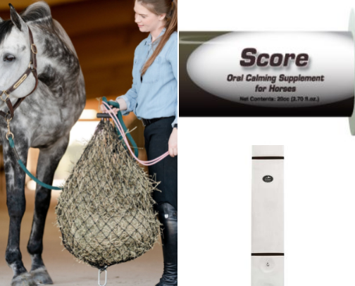 HORSE TRAILER/TRAVEL FAVORITES cover photo collage