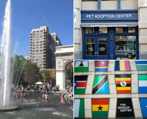 My top New York recs cover photo collage