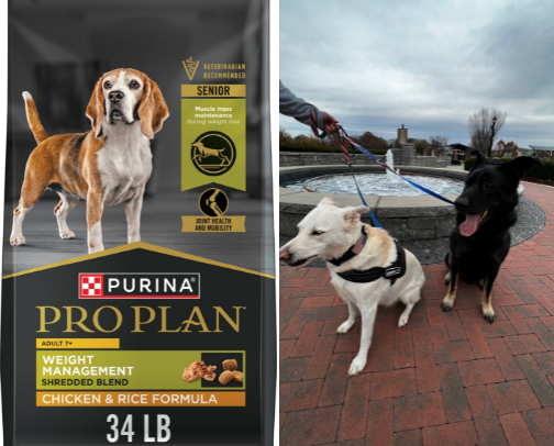 Dogs: Wellness, best bought items and cleaning tools all for pets 🐕🐩🐕‍🦺 cover photo collage