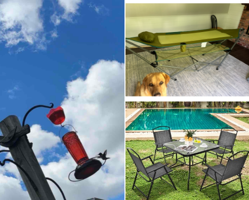 The Great Outdoors (of my house) cover photo collage