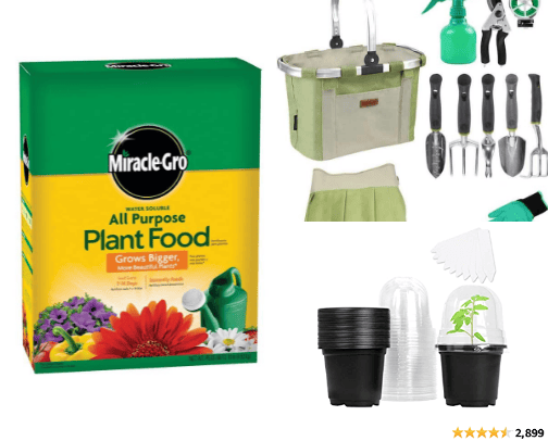 Plant Musts! cover photo collage