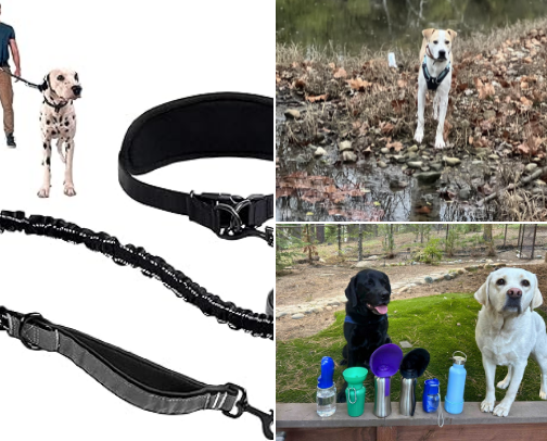 favorite walk recommendations cover photo collage