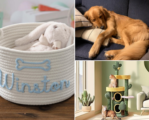 Pets of all sizes & shape 🥰 cover photo collage