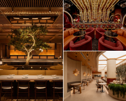 where cool girls actually go in scottsdale cover photo collage