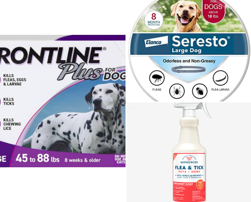 🐾Paws & Perks: Tail-wagging Essentials for Pets (Amazon US) cover photo collage