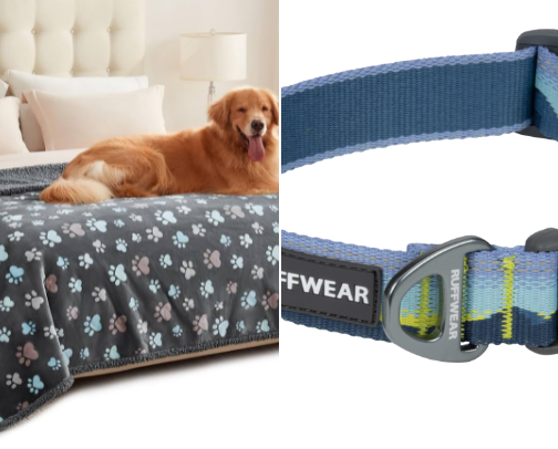 1st time dog owners must haves (what you actually need!) cover photo collage