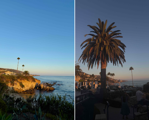 24 hours in laguna beach! cover photo collage