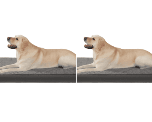 Pet bed from Walmart cover photo collage