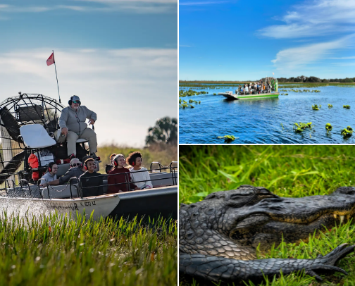 Best Airboat Rides & Wildlife Tours Near Kissimmee & Orlando: A Local's Guide cover photo collage