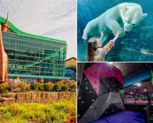 Favorite kid-friendly places + restaurants we keep going back to 👏 Tried, tested & parent-approved. cover photo collage