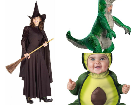 My Spirit Halloween Costume Hall of Fame (and Shame!) 👻🎃 cover photo collage