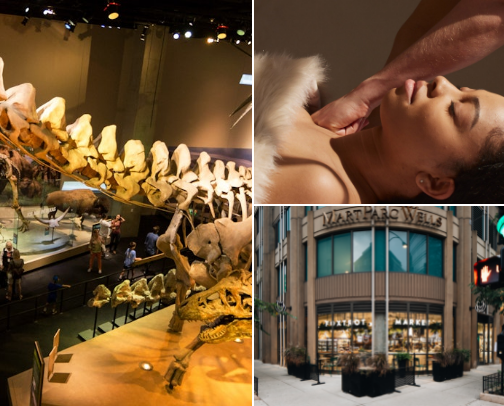 Things to do in Dallas, Tx cover photo collage