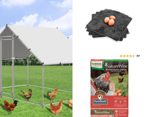Chicken coop essentials cover photo collage