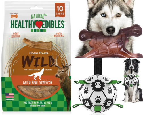 Doggy must-have items cover photo collage