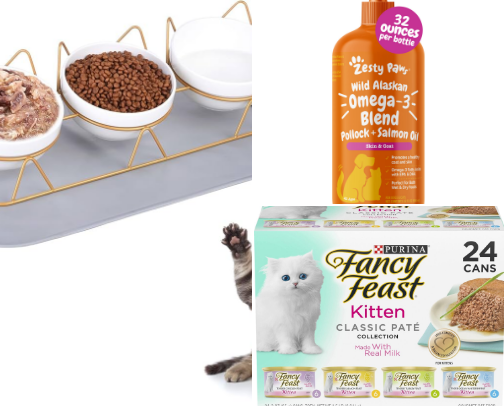 Cat lover essentials 🐈‍⬛😽 cover photo collage