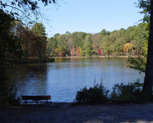 Roaming Raleigh cover photo collage