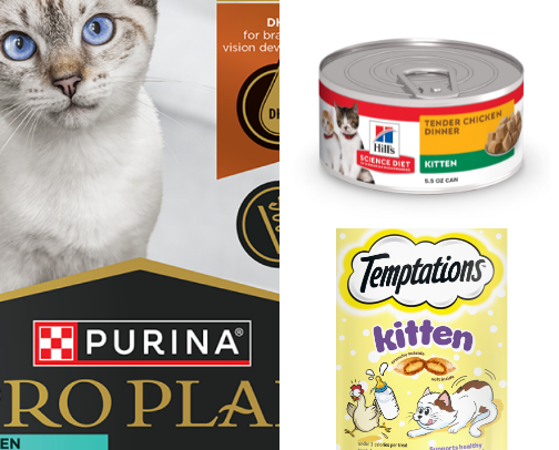 Cat Essentials cover photo collage