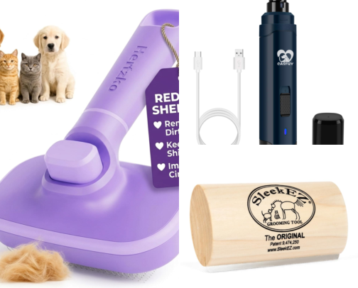 Dog Care Between Grooms: For Dogs Who Roll in Questionable Things cover photo collage