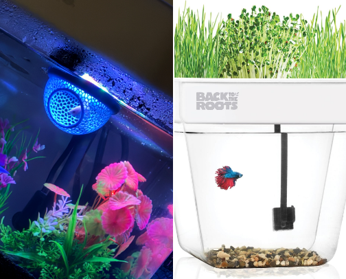 Under $70: Self-Sustaining fish tank that grows microgreens for you! cover photo collage