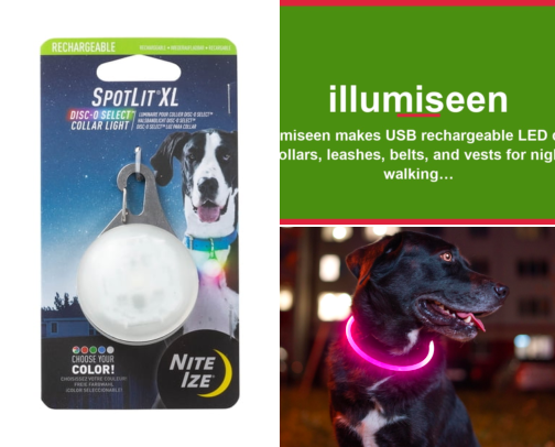 Dog Walking Gear That Actually Fixed My Dark Morning Visibility Problem cover photo collage