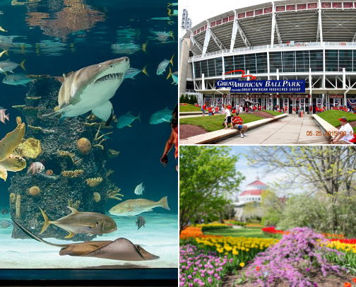 Ohioooo cover photo collage