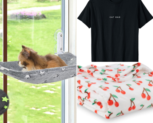 Current Faves ✨ cover photo collage