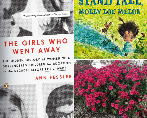 You should read this cover photo collage