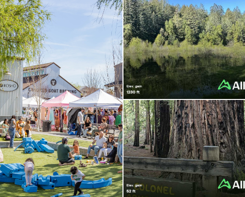 Sonoma County Favorites cover photo collage