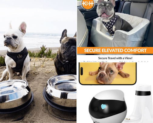 For Your Frenchie Bestie cover photo collage