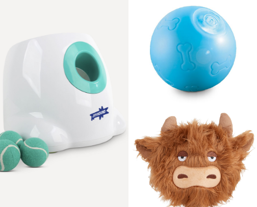 Dog must haves cover photo collage