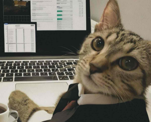 What’s in my desk? cover photo collage