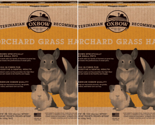 Pet Care cover photo collage