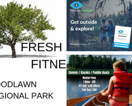 Estevan Community Wellness Recs 🌱🫂 cover photo collage