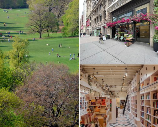 Things to Do in NYC/ Brooklyn! cover photo collage