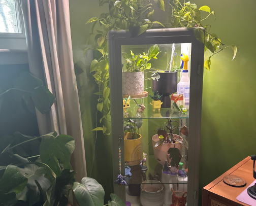 For the Plant Lovers cover photo collage