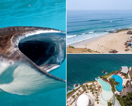 Traveling to Bali ? You MUST see, do and eat ! cover photo collage