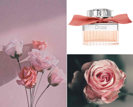 Roses in Bloom: Elegant Rose-Scented Perfumes🌹✨ cover photo collage